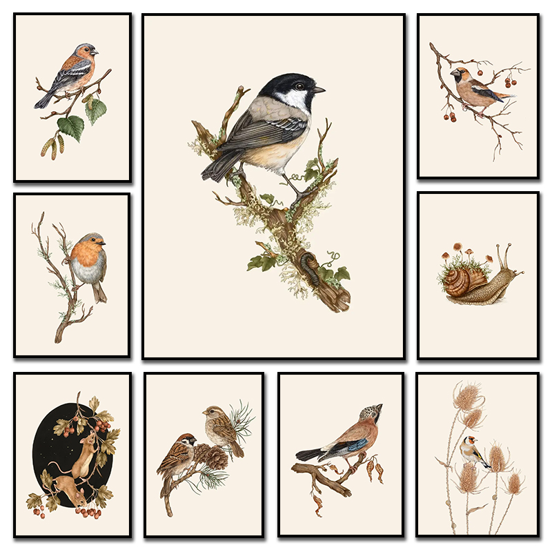 Star Map Poster - Retro Birds Watercolor Canvas Print Poster